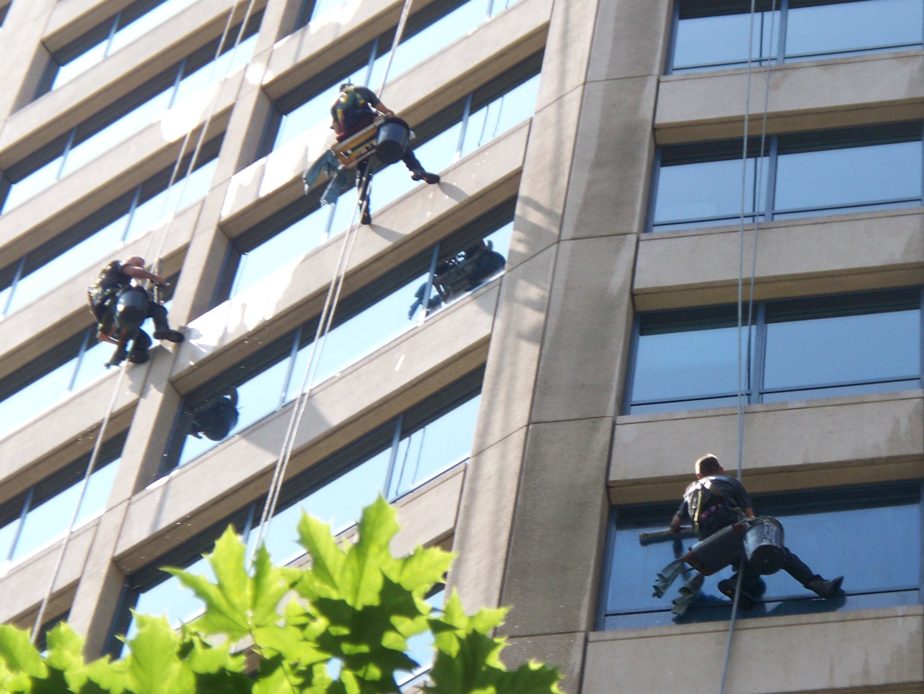 Commercial Glass Cleaning